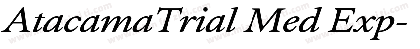 AtacamaTrial Med Exp字体转换